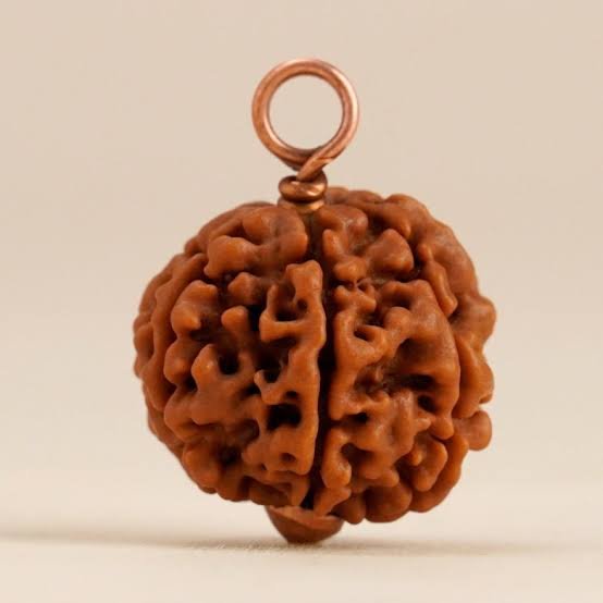 Rudraksha